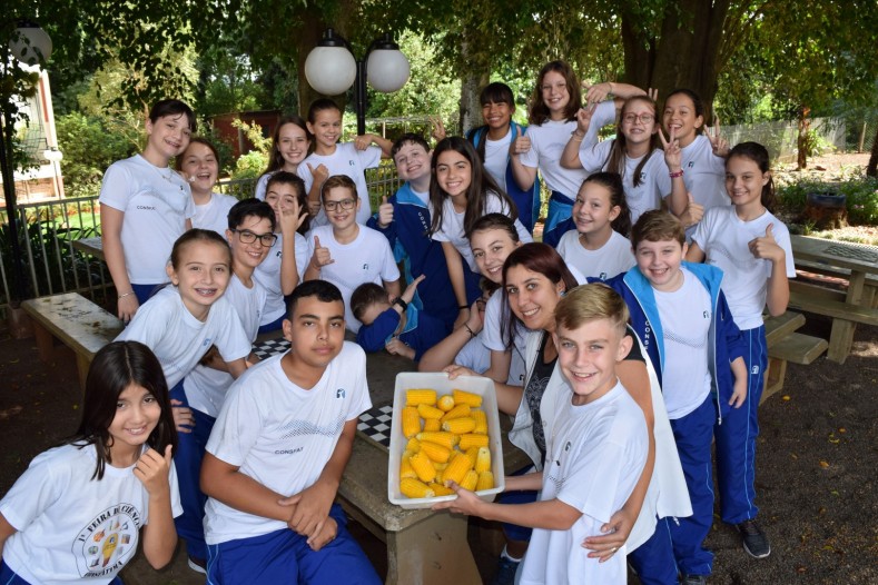 7º Ano EF: Biomas Brasileiros