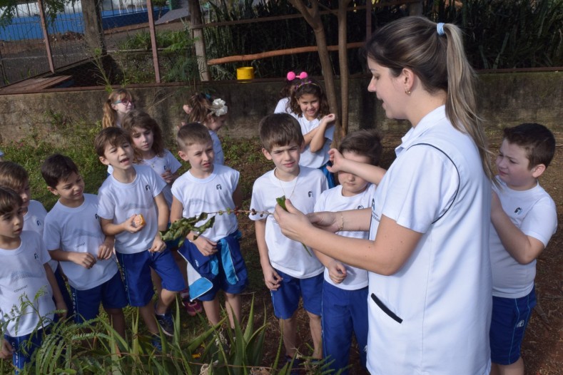 2º Ano EF - Estudo sobre plantas