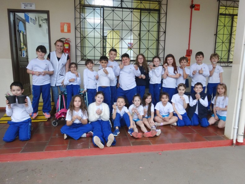 3º Ano EF: Partes de uma planta