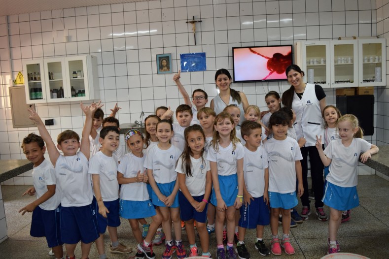 2º Ano do EF I: Observando insetos