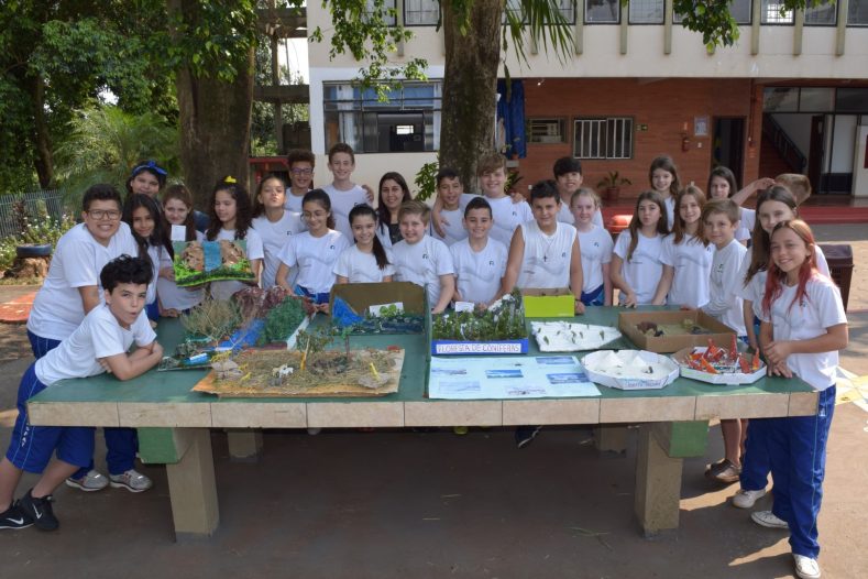 6º Ano - Tipos de vegetação