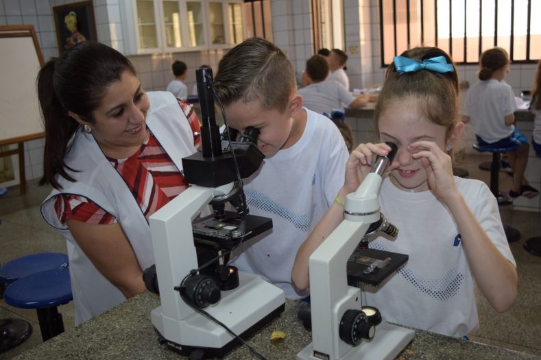 4º Ano EF - Decomposição